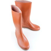 Resim Gezer Erkek Uzun Çizme 