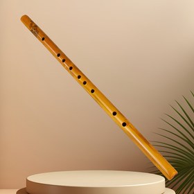 Resim 1 Adet Premium Bambu Flüt Başlangıççılar İçin – Yüksek Kaliteli Ahşap Tasarım, Sarı Renk, Yetişkinler için Enstrüman Çalmayı Öğrenmek İçin Mükemmel, Orkestra ve Topluluk Müziği İçin İdeal, Ergonomik Flüt Tasarımı, Cilalı Ahşap Yüzey 