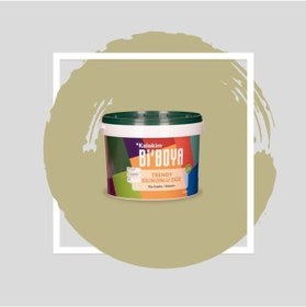 Resim Bi Boya Silikonlu Dış Cephe Boyası 2.5 L 4202 