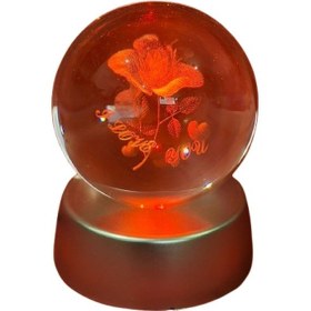 Resim Gül Model Kristal Küre Diğer 