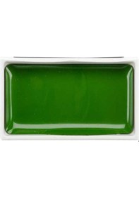 Resim Zig Kuretake Gansai Tambi Sulu Boya 053 Mid Green 