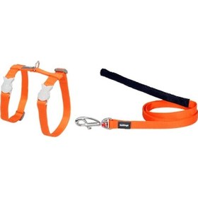 Resim Reddingo Klasik Turuncu Kedi Göğüs Tasması Ve Uzatma Kombo 12 MM 