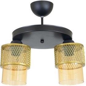 Resim Ikili Bal Cam Kafes Model Modern Plafonyer Avize 