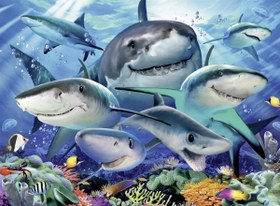 Resim Ravensburger 300 Parça Puzzle Köpekbalıkları 132256 