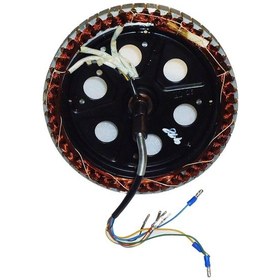 Resim Elektrikli Motosiklet Motoru Zwd406 - Zwd206l Uyumlu 250w Model 