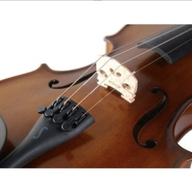 Resim Stentor 1542/A Graduate Keman (4/4) 