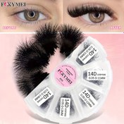 Resim 600Fans Sivri Tabanlı Gevşek Fanlar 3D 6D 10D 12D 14D Profesyonel Promade Hacim Fanları Karıştırma 8-15mm Kedi Gözü Kirpikleri C/D Kıvır promade Fanları Kirpikler İnci Kirpikleri Uzatma Otomatik Çiçeklenme Kirpik Sahte kirpikler 
