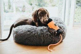 Resim Fermuarlı ve İpli Eğitim Kuklası 