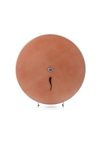 Resim ARGESAN-Paslanmaz Çelik WC Kağıtlığı JUMBO Q28 cm-ROSE 