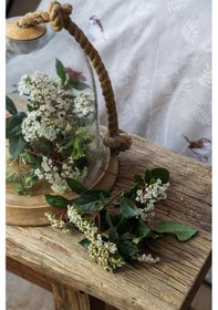 Resim Çift Kişilik Elysian Bej Pike Takımı Bej 