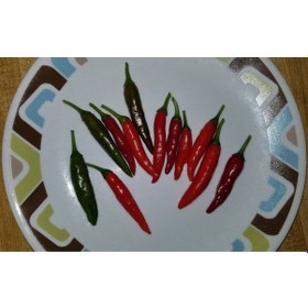 Resim 20 Adet Chile De Espelette Biber Tohumu 