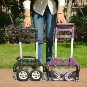 Resim Ice El Arabası Katlanabilir Kaymaz Taşıma Platformu Max Taşıma Kapasitesi 80 Kg. Dahil Bagaj Örümceği 