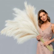Resim 16 parça Bej Yapay Pampas Otu - 54.99 cm Yükseklik, Ev Dekorasyonu için Yumuşak Kumaş Kamış Çiçekler, Oturma Odası, Noel, Cadılar Bayramı, Paskalya, Hanuka, Şükran Günü için Mükemmel - Kapak Gerektirmez, Şenlikli Masa Üstü Dekorasyonu | Doğal Görünüm | Yumuşak Doku Çiçekler, Masa Dekorasyonu için Pampas 