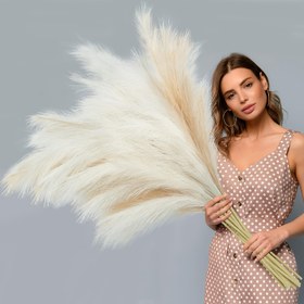 Resim 16 parça Bej Yapay Pampas Otu - 54.99 cm Yükseklik, Ev Dekorasyonu için Yumuşak Kumaş Kamış Çiçekler, Oturma Odası, Noel, Cadılar Bayramı, Paskalya, Hanuka, Şükran Günü için Mükemmel - Kapak Gerektirmez, Şenlikli Masa Üstü Dekorasyonu | Doğal Görünüm | Yumuşak Doku Çiçekler, Masa Dekorasyonu için Pampas 