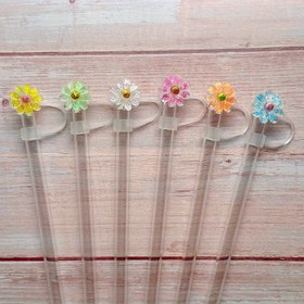 Resim 10mm 30&40oz Düz Bardak Şeffaf Papatya Pipet Kapağı - Su Geçirmez, Toz Geçirmez Kapak Tumbler Bardaklar İçin | Çok Renkli, Reçine ve PVC | Sevgililer Günü, Anneler Günü, Şükran Günü ve Öğretmenler Günü Hediyeleri İçin İdeal, Öğretmenler İçin Hediye | Şeffaf Papatya Tasarımı | Dayanıklı Pipet Kapağı 