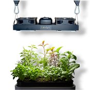 Resim Fullbright 2000 Quantum Cob Bitki Yetiştirme Lambası 