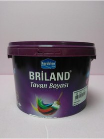 Resim Kardelen Briland Tavan Beyaz 3,5 Kg 