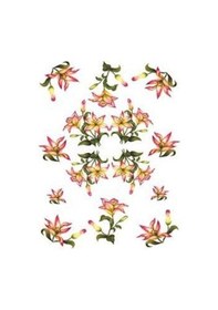 Resim Cadence Pirinç Dekopaj Kağıdı Model 77 