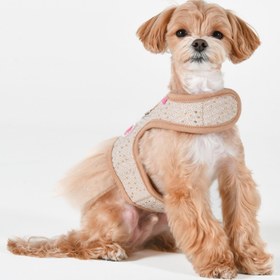 Resim OLCHİ MİLENA HARNESS BEJ - S 