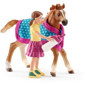 Resim Schleich Tay Seti 42361 