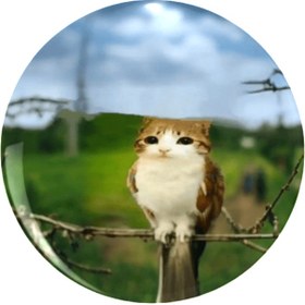 Resim Oyun Sever Kedi Broş Pimi - Sevimli Beyaz ve Kahverengi Kedi Tasarımı, Plastik Arka Planlı Metal - Giysiler, Şapkalar, Sırt Çantaları İçin İdeal - Arkadaşlar, Sınıf Arkadaşları ve İş Arkadaşları İçin Mükemmel Hediye, Moda Aksesuarı | Oyun Sever Kedi Tasarımı | Dayanıklı Plastik Arka Plan, Sevimli Kedi Aksesuarları 