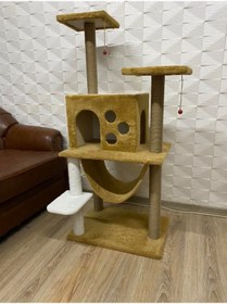 Resim Saule Kedi Tırmalama 