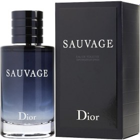 Resim Christian Dior Sauvage Erkek Parfüm EDT 100 ML 