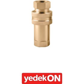 Resim Pirinç Otomatik Rekorlar (Viton) - İçi Boş 