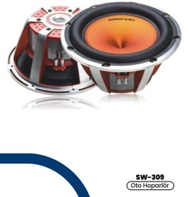 Resim GOLDMASTER SW-309 1200W Oto Subwoofer 