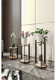 Resim 3'lü Yuvarlak Çiçeklik Saksılık Meşe Meşe 