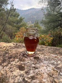 Resim Yayla Kestane Balı - 850 Gram 