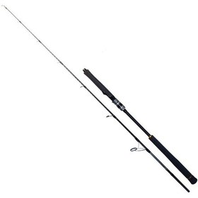 Resim Ryuji Seawolf 198cm 150-250gr 2 Parça Jig Olta Kamışı 