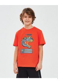 Resim Skechers Graphic Tee B Short Sleeve Büyük Erkek Çocuk Turuncu Tshirt Sk241093-700 