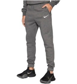 Resim Nike Cw6907-071 Team Park 20 Erkek Tek Alt 001 