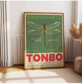 Resim Tonbo Yusufçuk Dragonfly Delight Classy Şans Poster Çerçevesiz 