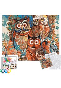 Resim Sayılarla Boyama Seti 40 X 50 Cm Tuval Şasesine Gerili Baykuşlar 