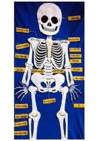 Resim Cırtlı Iskelet Pano 