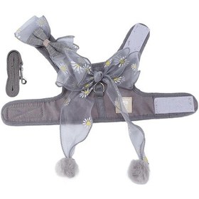 Resim Peri Fiyonklu Kedi Tasması Ve Koşum Takımı 