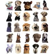 Resim Sevimli Köpek Çıkartmaları Laptop Notebook Tablet Sticker Seti Çok Renkli 