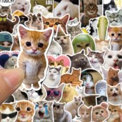 Resim 100 komik kedi çıkartması seti, su şişeleri, dizüstü bilgisayarlar, kaykaylar, gitarlar, bagajlar, kasklar, kameralar, defterler için yaratıcı kendinden yapışkanlı dekorasyon çıkartmaları - kağıt malzemeler 