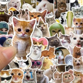 Resim 100 komik kedi çıkartması seti, su şişeleri, dizüstü bilgisayarlar, kaykaylar, gitarlar, bagajlar, kasklar, kameralar, defterler için yaratıcı kendinden yapışkanlı dekorasyon çıkartmaları - kağıt malzemeler 