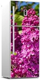 Resim Buzdolabı Kapağı Kaplama Sticker 0135 