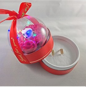 Resim Ledli Ayıcıklı Ve Solmayan Gül Fanus Takı Hediye Kutusu 