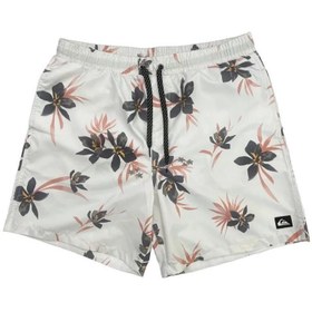 Resim Quiksilver EQYJV04002 Mix 17 M Jamv Erkek Şort Mayo 