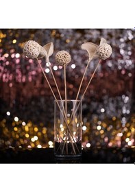 Resim Dekoratif Bambu Cam Vazo 10 X 20 Cm Beyaz 