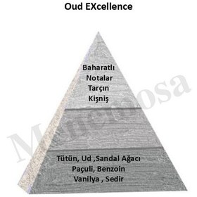 Resim Bargello Oud Exc + Oud Exc Unısex Parfüm Edp Woody - Mnmsoudx2 Odunsu 