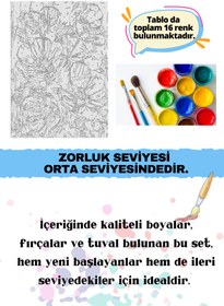 Resim Su'lepas Sayılarla Boyama Seti Numaralı Tuval Fırça Boya KIRMIZI PEMBE BEGONVİL 40X50 Cm 