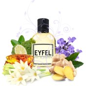 Resim Eyfel M25 Erkek Parfüm 