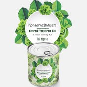 Resim Konserve Bahçem Kıvırcık Fide Yetiştirme Kiti 