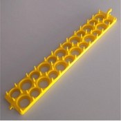 Resim 24 Gözlü Bıldırcın Viyolü Yaprağı 